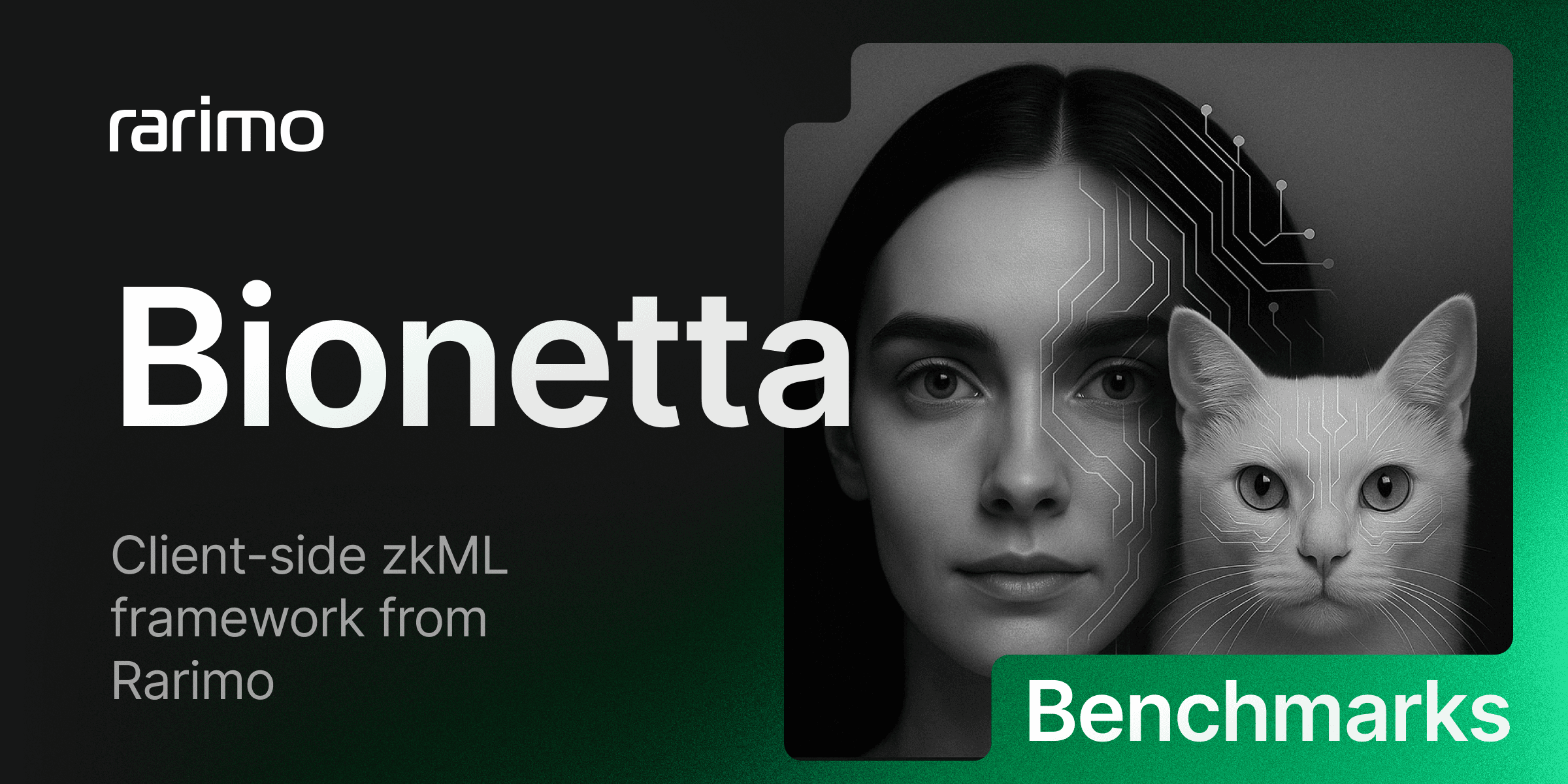 Benchmarking Bionetta